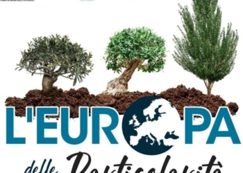 Superare gli Stati, la vera sfida se si vuole davvero un’Europa dei popoli