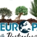 Superare gli Stati, la vera sfida se si vuole davvero un’Europa dei popoli