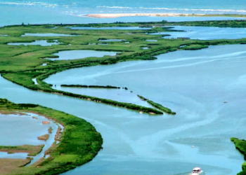 Foto aerea del Delta del Po (foto di D.Soncin)