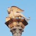 Vicenza 15 febbraio 1473, si innalza il Leone di San Marco