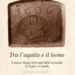 “Tra l’Aquila e il Leone. Uomini, luoghi ed eventi delle comunità di Teglio e Cintello” di Vincenzo Gobbo, Eugenio Marin e Luca Vendrame