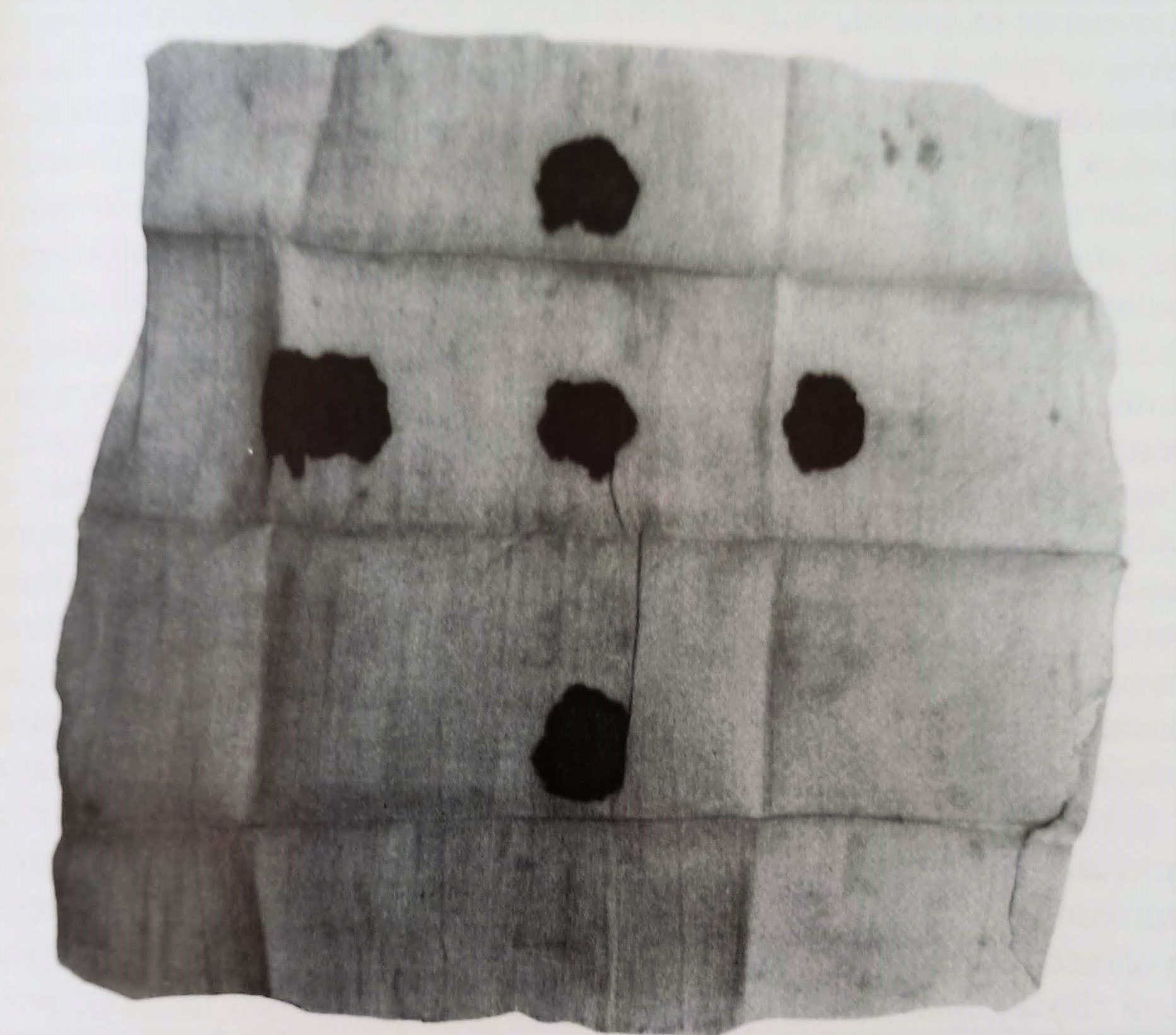 Lino con le impronte delle stigmate di Suor Maria Felicita anno 1803 (foto libro Santi o quasi nel Polesine)