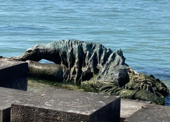 “SAN MARCO PAR FORZA”: 1945, autonomisti veneti nella Resistenza