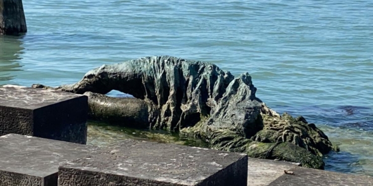 “SAN MARCO PAR FORZA”: 1945, autonomisti veneti nella Resistenza
