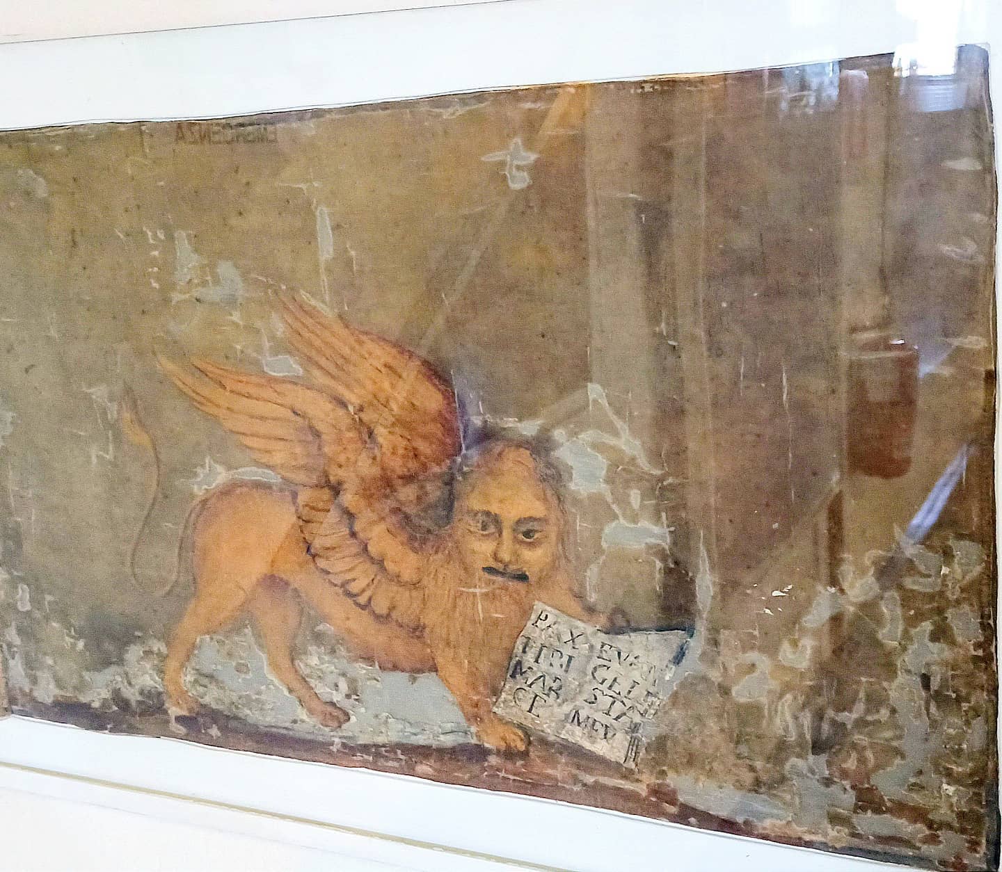 Bandiera in seta del Governo provvisorio del 1848 1849 (foto autore)