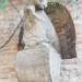 29 settembre 1509, Padova nel nome di San Marco respinge l’assalto degli Imperiali