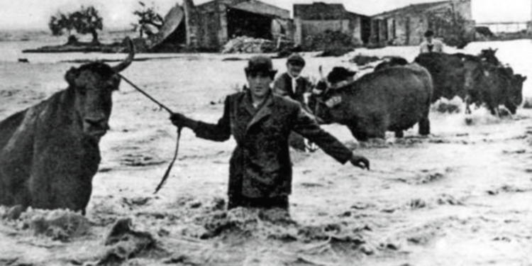 Foto dell' alluvione