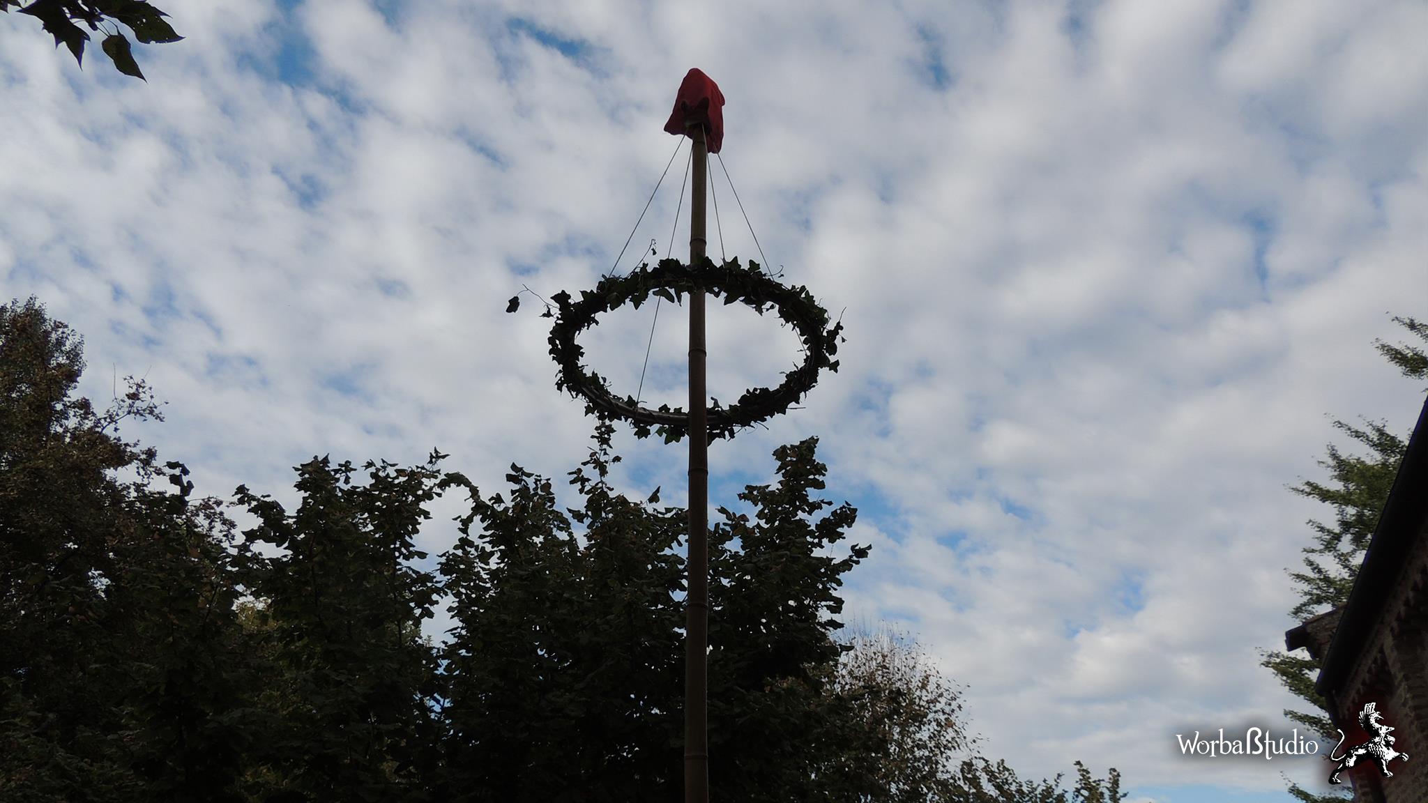 Albero della libertà issato dai giacobini (foto da pagina facebook gli insorgenti del basso po)