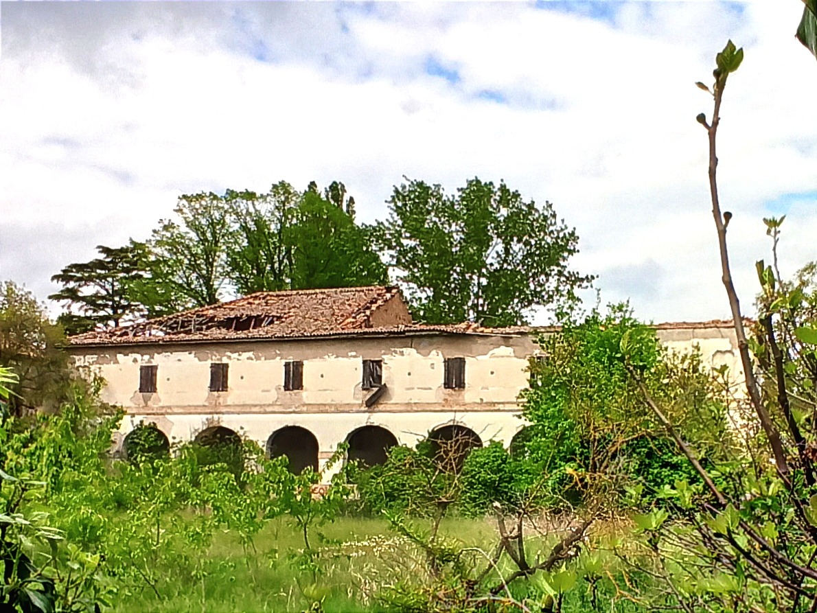 Come si presenta la Barchessa oggi,impossibile altre foto causa fitta vegetazione (Foto autore)