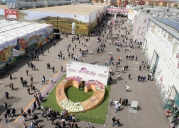 Verona, grande successo per il 55° Vinitaly