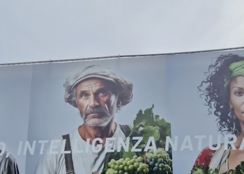 Il Veneto, il Vinitaly e un messaggio che poteva essere più efficace