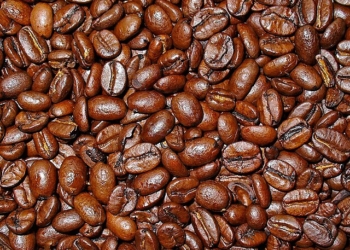 Prospero Alpini, il botanico veneto di Marostica che nel 1500 scoprì il caffè
