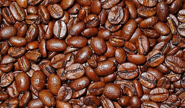 Prospero Alpini, il botanico veneto di Marostica che nel 1500 scoprì il caffè