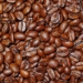 Prospero Alpini, il botanico veneto di Marostica che nel 1500 scoprì il caffè