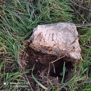 Il Cippo Fasolo deturpato alcuni giorni fa (Foto M. Cesaretto)